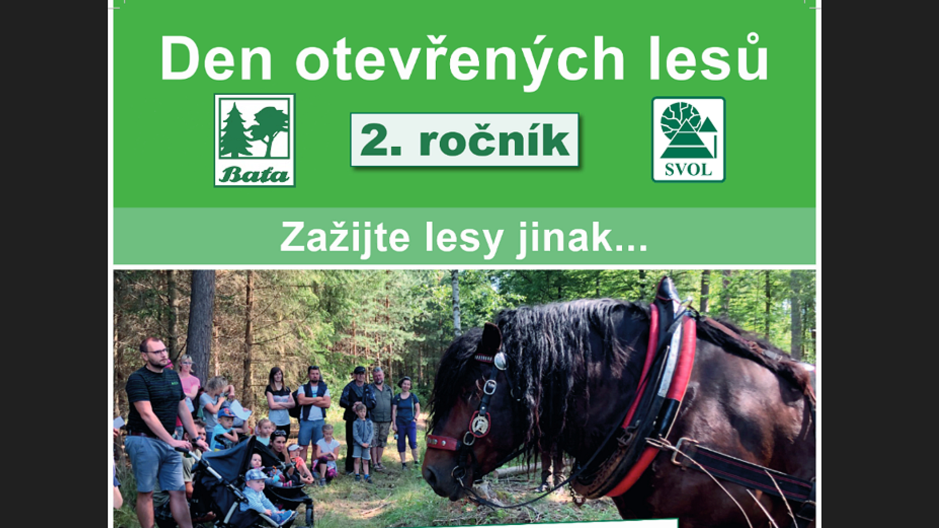 ilustrační obrázek - Den otevřených lesů