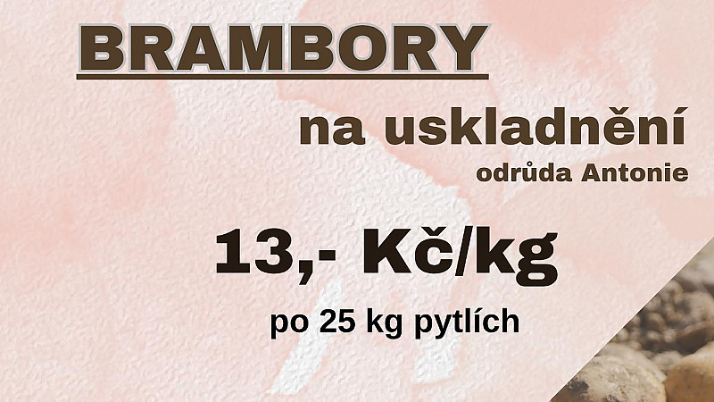 Přijímáme objednávky na brambory.