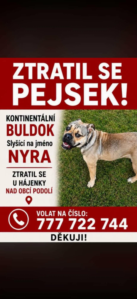 Zdroj - Text